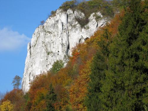 a rocky mountain with trees on the side of it at DOM POD SOKOLICĄ in Będkowice