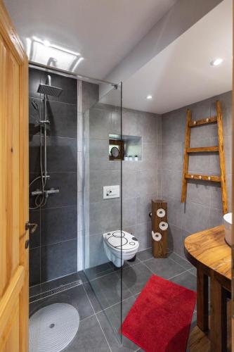 a bathroom with a shower with a toilet and a red rug at Rašpor in Rašpor