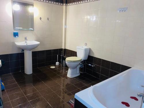 a bathroom with a toilet and a sink and a tub at Mikro Amoni Beach Villa in Pefkali