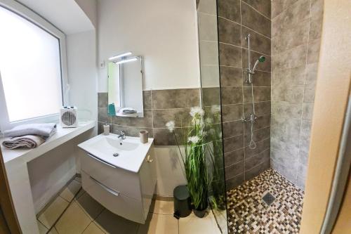 La salle de bains est pourvue d'une douche, de toilettes et d'un lavabo. dans l'établissement Charmant studio, à Charleville-Mézières