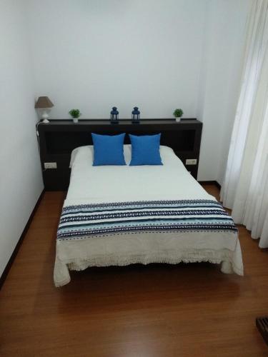 a bedroom with a large bed with blue pillows at Apartamentos A Casa da Herba in Redondela