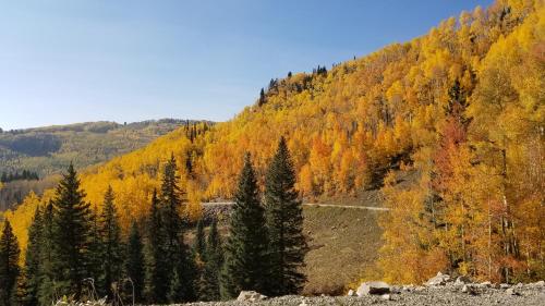 an autumn view of a mountain with colorful trees at Circle K Ranch in Rico