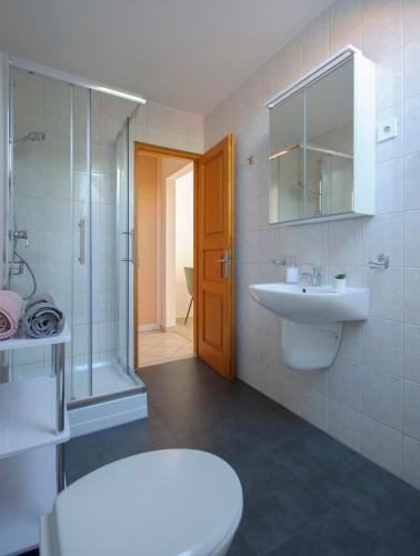 a bathroom with a toilet and a sink and a shower at Villa Tara Bük in Bük