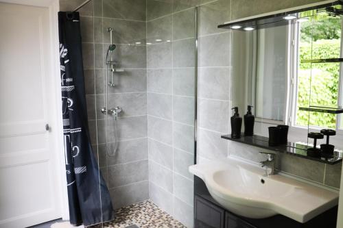 een badkamer met een douche, een wastafel en een spiegel bij THE VINTAGE APARTMENT AU COEUR DE LA VILLE DE RIMBAUD in Charleville-Mézières