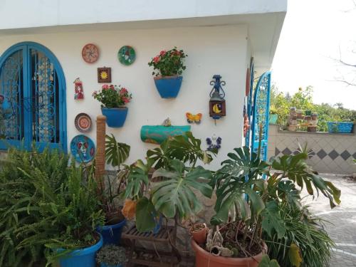 Zahrada ubytování Lemontree House Bacoli