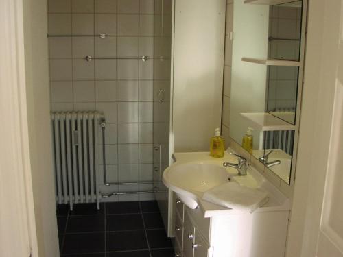 Koupelna v ubytování Skagen Apartment