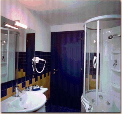 A bathroom at Hotel & Loisir Le Ruote
