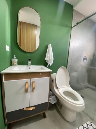 La salle de bains est pourvue de toilettes, d'un lavabo et d'un miroir. dans l'établissement Balcones de la pradera by Hope, à Guatapé
