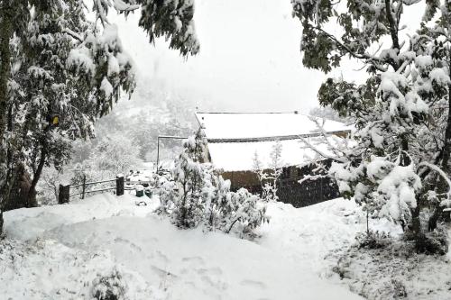 Το Odyssey Stays Mukteshwar - 300 Metres Trek τον χειμώνα