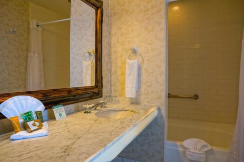 a bathroom with a sink and a mirror and a shower at Gaslamp Plaza Suites in San Diego