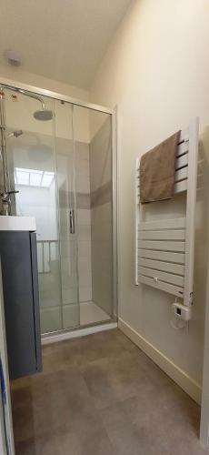 La salle de bains est pourvue d'une douche et d'une cabine de douche en verre. dans l'établissement Histoire de Loire - Le Futreau, à Saumur