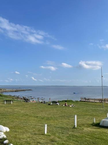 Magnarp Strandbad في Vejbystrand: مجموعة من الناس يستلقون على العشب بالقرب من الماء