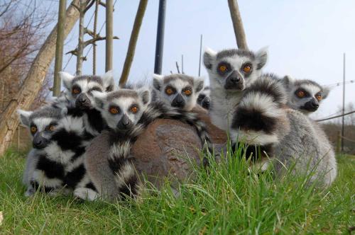 エーベルトフトにあるRee Park Safariのギャラリーの写真