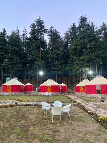 Fotografie z fotogalerie ubytování The Glamping Spot Kalam v destinaci Kalām