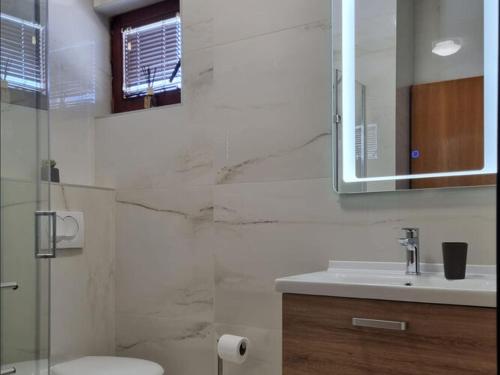 Un baño con lavabo, inodoro y espejo. en Apartment in Privlaka near Sandy Beaches, en Privlaka