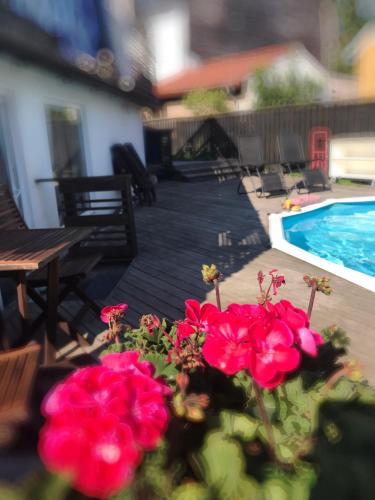 a group of red flowers next to a swimming pool at Centralt och havsnära med utsikt mot pool in Kalmar