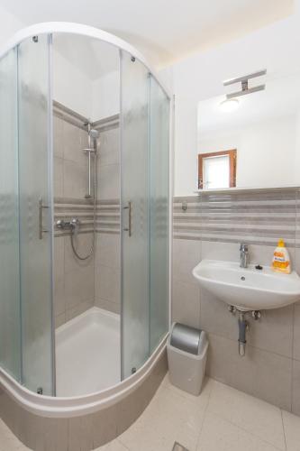 a bathroom with a shower and a sink at Apartments Prahović in Ždrelac
