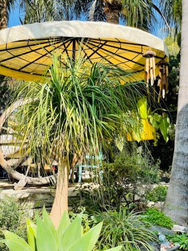 a large yellow surfboard on top of a palm tree at Out of Africa Resort in Had Nes