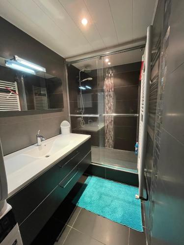 une salle de bain avec un lavabo et une douche dans l'établissement Galerie Roche Beranger « Le doux Chalet », à Chamrousse