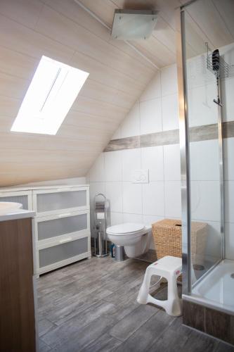 a bathroom with a shower and a toilet and a sink at Martin I's Ferienwohnung in Klotten