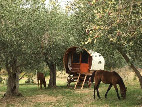 Le Camping de Cucugnan – Photos 4