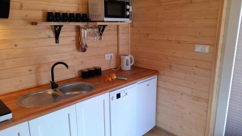 a kitchen with a sink and a microwave at Spiska Dolina in Łapsze Niżne