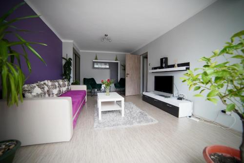 a living room with a purple couch and a tv at Oasis House in Hunedoara