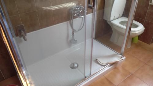 a bathroom with a shower and a toilet at Cinque Terre Tra Il Filo Di Arianna in Riccò del Golfo di Spezia