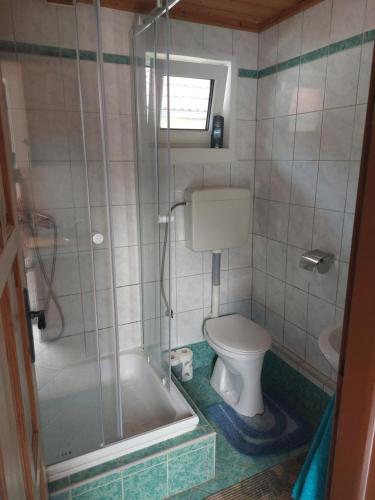 a bathroom with a shower and a toilet and a sink at apartmán v areálu Hospoda u Dračice in Suchdol nad Lužnicí