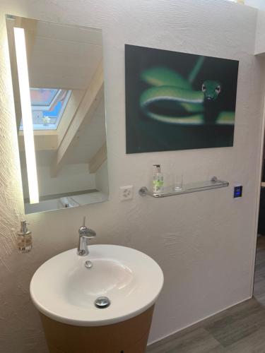 a bathroom with a sink and a mirror at Tolles Loft in den Tessiner Bergen in Corcapolo