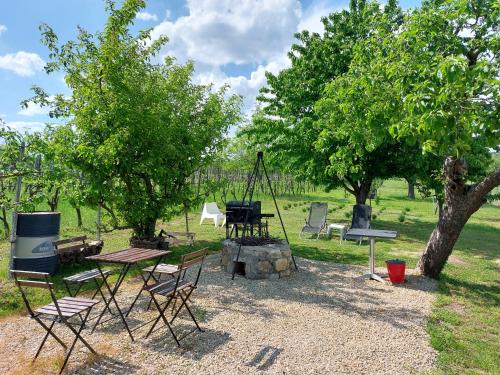 a group of chairs and tables in a park with trees at Spaletta in Pécsely