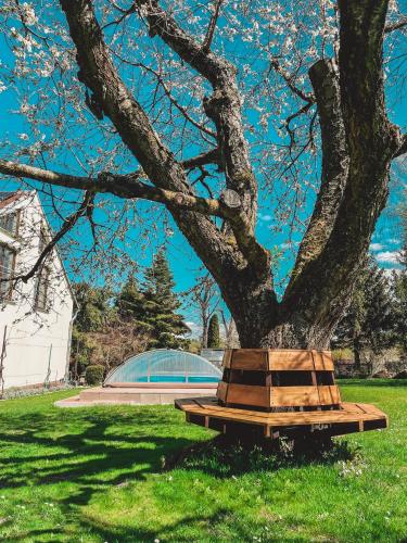 a tree sitting next to a bench under a tree at Rodinné apartmány Angelika in Česká Lípa