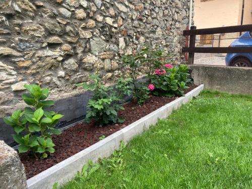 a row of plants in a yard next to a stone wall at Senin House in Aosta