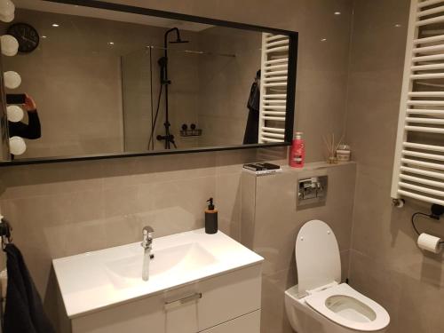 a bathroom with a sink and a toilet and a mirror at Apartament w Augustowie in Augustów