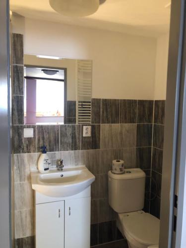 a bathroom with a sink and a toilet at U Monka in Jáchymov