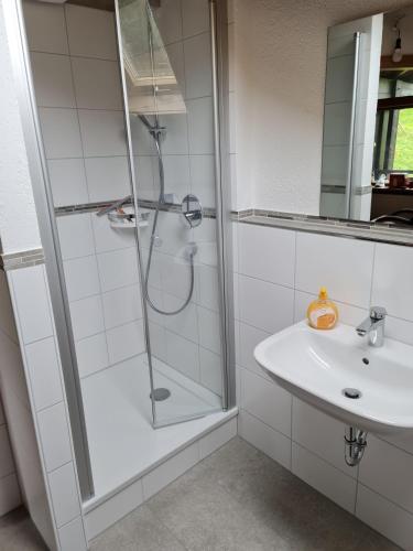 a bathroom with a shower and a sink at Haus-Bucheneck-Wohnung-Sonnenaufgang in Oberstdorf