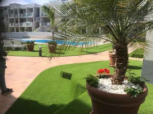 Sunset Suite 230, Corralejo Sun, big pool, Wifi fiber, central, near main street and beach