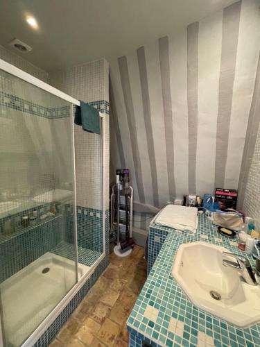 une salle de bain avec une douche, un lavabo et une baignoire dans l'établissement Le Loft du Homard Bleu - entre Ciel et Mer - Free Parking 500m, à Honfleur