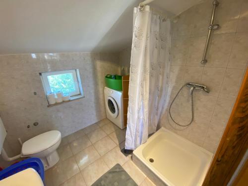 ein Badezimmer mit einer Dusche, einem WC und einer Waschmaschine in der Unterkunft Apartments Istra Nielsen in Premantura