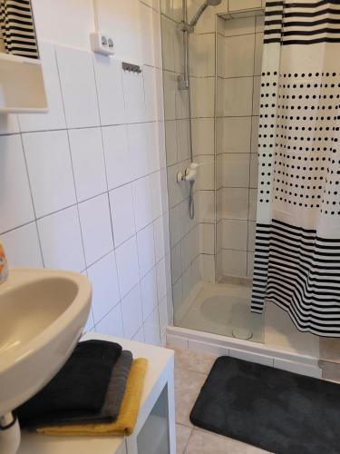ein Bad mit einem Waschbecken und einer Dusche in der Unterkunft Ap 4 35qm bei Oschersleben und Helmstedt in Ausleben