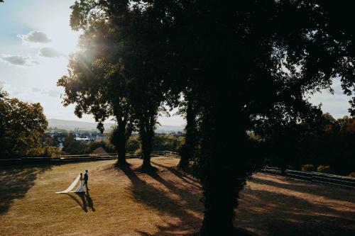 a person is sitting on a hammock in a field with trees at Relais & Châteaux Hardenberg BurgHotel in Nörten-Hardenberg