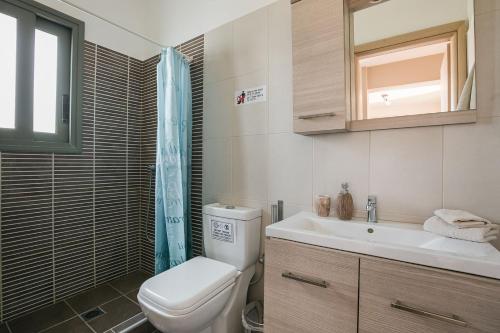 a bathroom with a toilet and a sink and a mirror at Villa Elaia in Svoronata