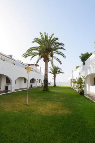 a lawn with palm trees in front of white buildings at Casas Blancas Parque Montroig in Miami Platja