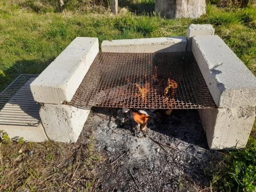a dog is cooking in a grill in the grass at Single bedroom, outside toilet, shower, kitchen. 120 m from Sandbach in Bräcke