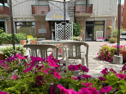 Zahrada ubytování Hotel Astor