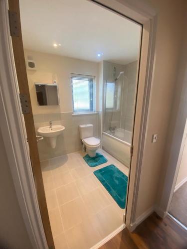 a bathroom with a toilet and a sink and a shower at The Mews in Inverness