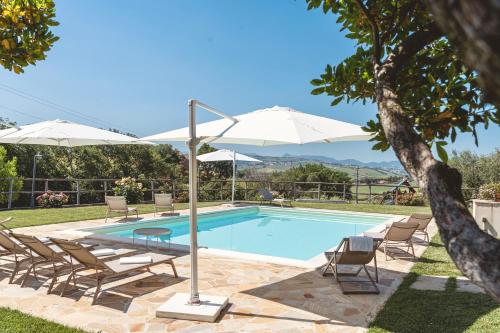 una piscina con sillas y sombrillas junto a una piscina en Montenovo Country House en Ostra Vetere