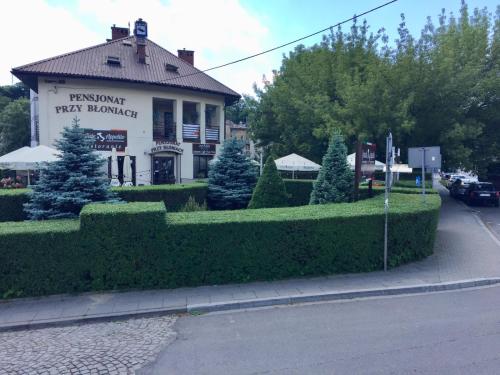 Κήπος έξω από το Pensjonat Przy Błoniach
