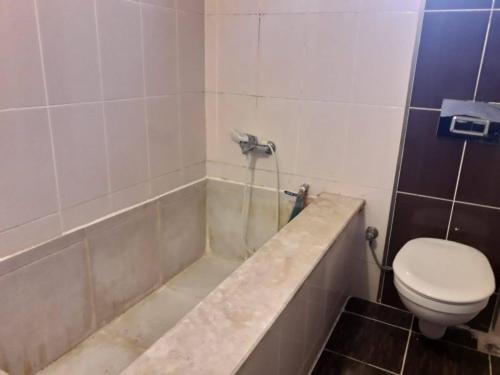 a bathroom with a toilet and a bath tub at MELEK APART PANSİYON in Denizli
