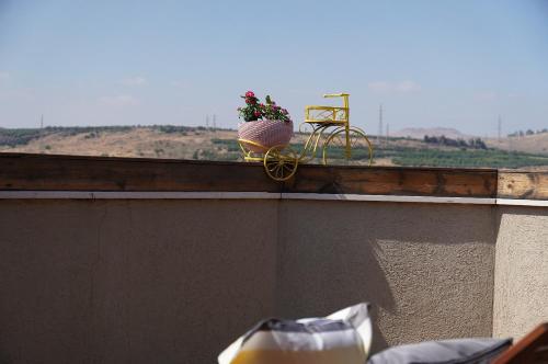 a plant sitting on top of a ledge with a window at Agama in Livnim